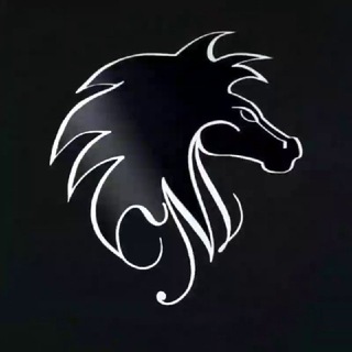 Telegram profile photo for Hossein Mu3tang