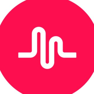 Telegram profile photo for Social Media Market