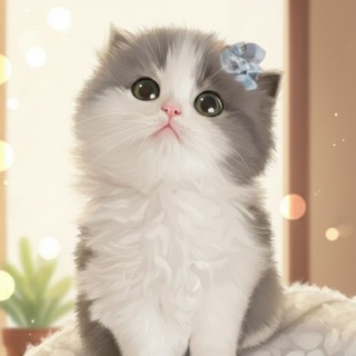 Telegram profile photo for микрочелы