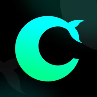 Telegram profile photo for Crypto Whales | Pumps Signals | Scalping
