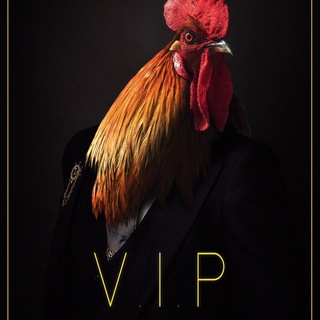 Telegram group profile photo for VIP Crypto Calls