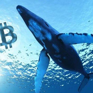 Telegram profile photo for MONEY KIDS TRADING 🤑💸💸🌖