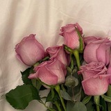 Telegram profile photo for صدقة جارية لفقيدتي