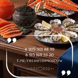 Telegram profile photo for Fresh fish