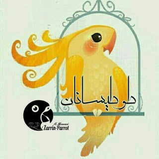 Telegram profile photo for ♤Zarrin Parrot♤