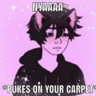 Telegram profile photo for Shitposts from the Litterbox