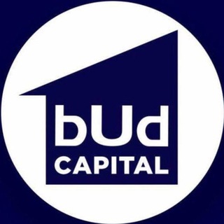 Telegram profile photo for Budcapital