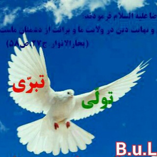 Telegram profile photo for دو بال برای پرواز