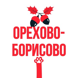 Telegram profile photo for Касается Орехово-Борисово