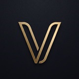 Telegram profile photo for VELOR FUND π