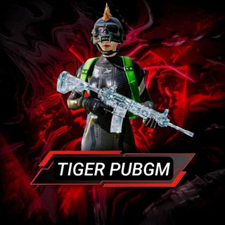 Telegram profile photo for TIGER ISBOT