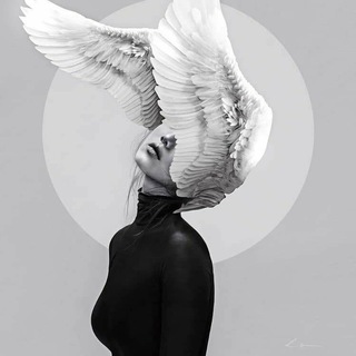 Telegram profile photo for Sacramento🕊️🖤