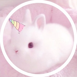 Telegram profile photo for Ი፝֟𑪔𐑼 𝐟꯭𝘂𝐲ً𝘂ຼӄִׄ𑄝͏ິ ᭺᳟᪾ 𝐢̶ָ𝐧ֵֶׂۭ֘֯𝐟꯭𖹭ّ᤺ 𝄢