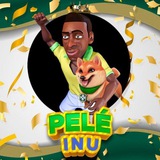 Telegram profile photo for PELE INU PORTAL_ERC20