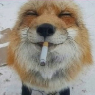 Telegram profile photo for татарский канал