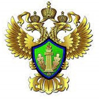 Telegram profile photo for Росприроднадзор rpn_52