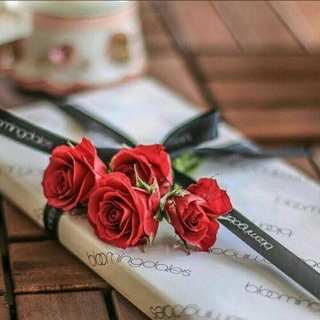 Telegram profile photo for مــملـكـة المسجات 🎻✨
