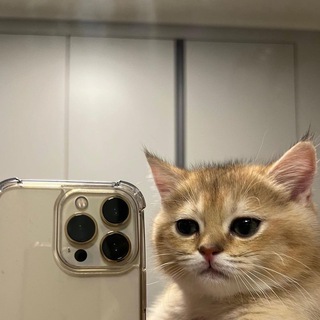 Telegram profile photo for ๐