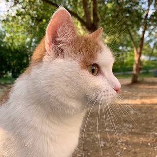 Telegram profile photo for Ирис и Марфа