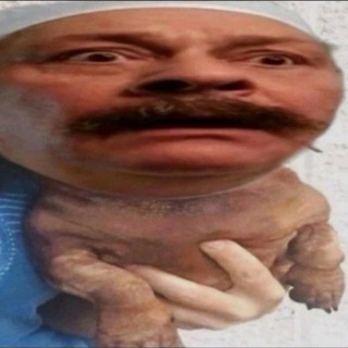 Telegram profile photo for Товарищ дура(16+)