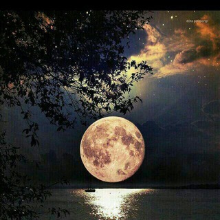 Telegram profile photo for شب زده گان
