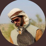 Telegram profile photo for New life 🌷 .