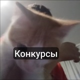 Telegram profile photo for 😶🌫️Конкурсы😶🌫️