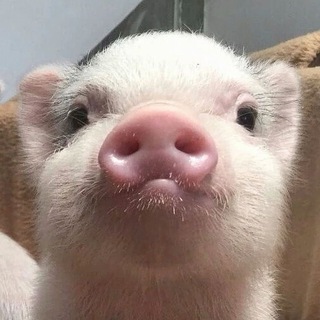 Telegram profile photo for путешествие длиною в жизнь