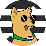 Telegram profile photo for UpDog Portal