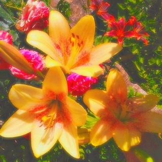 Telegram profile photo for ⌗ 𝘁he 𝖣𝗂𝗀𝗂𝗍𝖺𝗅 𝗌𝗁𝗈𝗐 🐚🌺