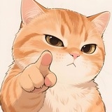 Telegram profile photo for DailyFogo
