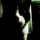 Telegram profile photo for H8H8LKVLT