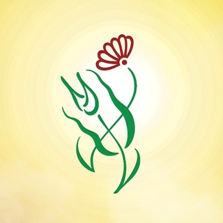 Telegram profile photo for أمة الشهادة