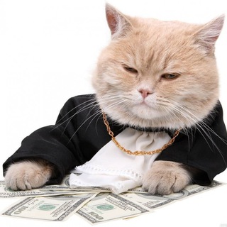 Telegram profile photo for Налоги | Законы | Бизнес