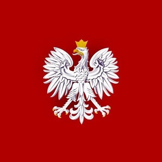 Telegram profile photo for Утка по им. костя