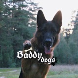 Telegram profile photo for Baddy dogs 🐶🐾