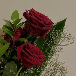 Telegram profile photo for نجمة في السماء سوداء
