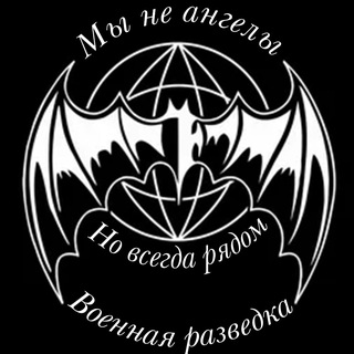 Telegram profile photo for Будни Разведки СВО