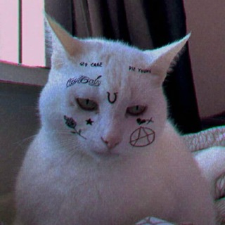 Telegram profile photo for π΄ π π πΎ π