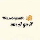 Telegram profile photo for Пчеловодство от А до Я
