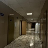 Telegram profile photo for 6 курс