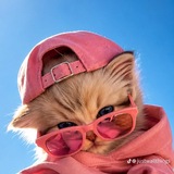 Telegram profile photo for ππ ππππππ€΄