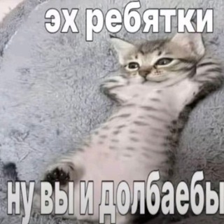 Telegram profile photo for Навигатор