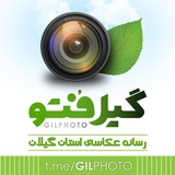 Telegram profile photo for GilPhoto.ir گیل فتو