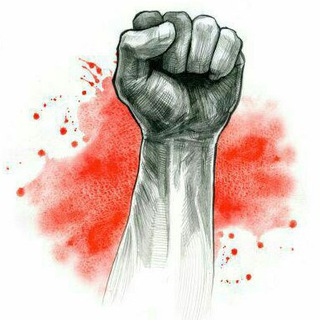 Telegram profile photo for اخبار روز 😷