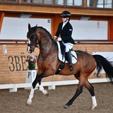 Telegram profile photo for Ksenia Browaeys