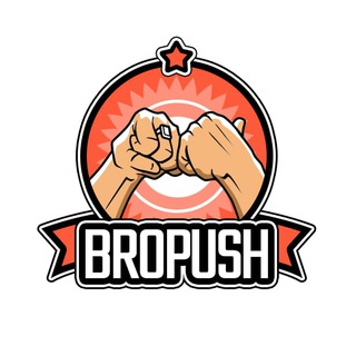 Telegram profile photo for BroPush — рекламная push-сеть с конвертящим трафиком