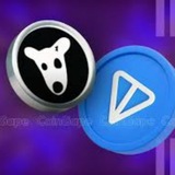 Telegram profile photo for CRIPTOdrop