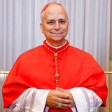 Telegram profile photo for The New Official Pope | LeoneXIV Portal