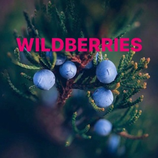 Telegram profile photo for Находки на Wildberries🔥
